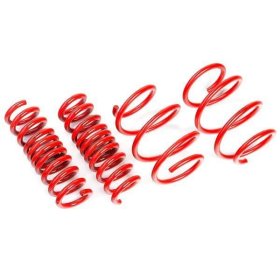 (image for) AST Tesla Model 3 Long Range AWD 40mm Lowering Springs 2018 - 2020