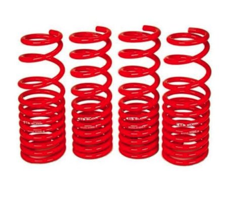 (image for) Blox Racing Tesla Model 3 RWD Long Range Lowering Springs 2017 - 2019