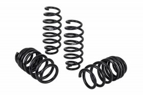 (image for) Eibach Tesla Model 3 Long Range AWD Pro-Kit Lowering Springs 2017 - 2023